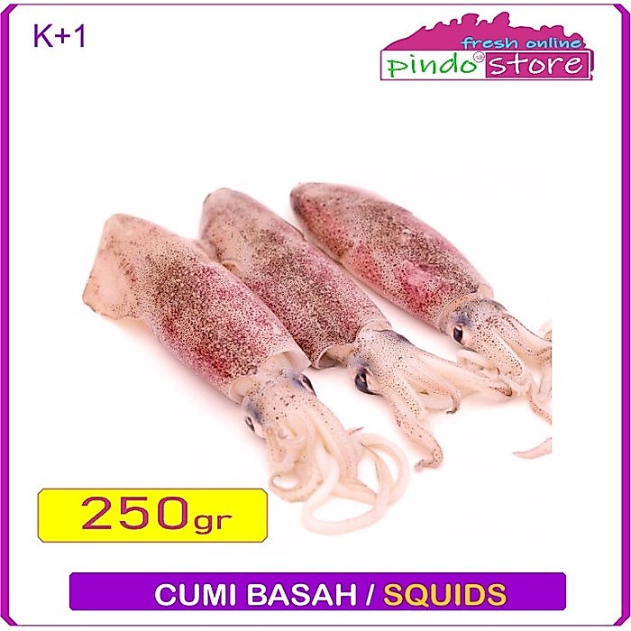 CUMI BASAH DAN SEGAR / SQUID UKURAN KECIL/SEDANG/JUMBO