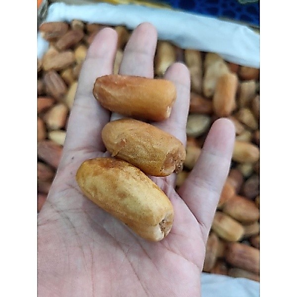 kurma muda kering promil 500gram/kurma muda penyubur kandungan  kurmud kering