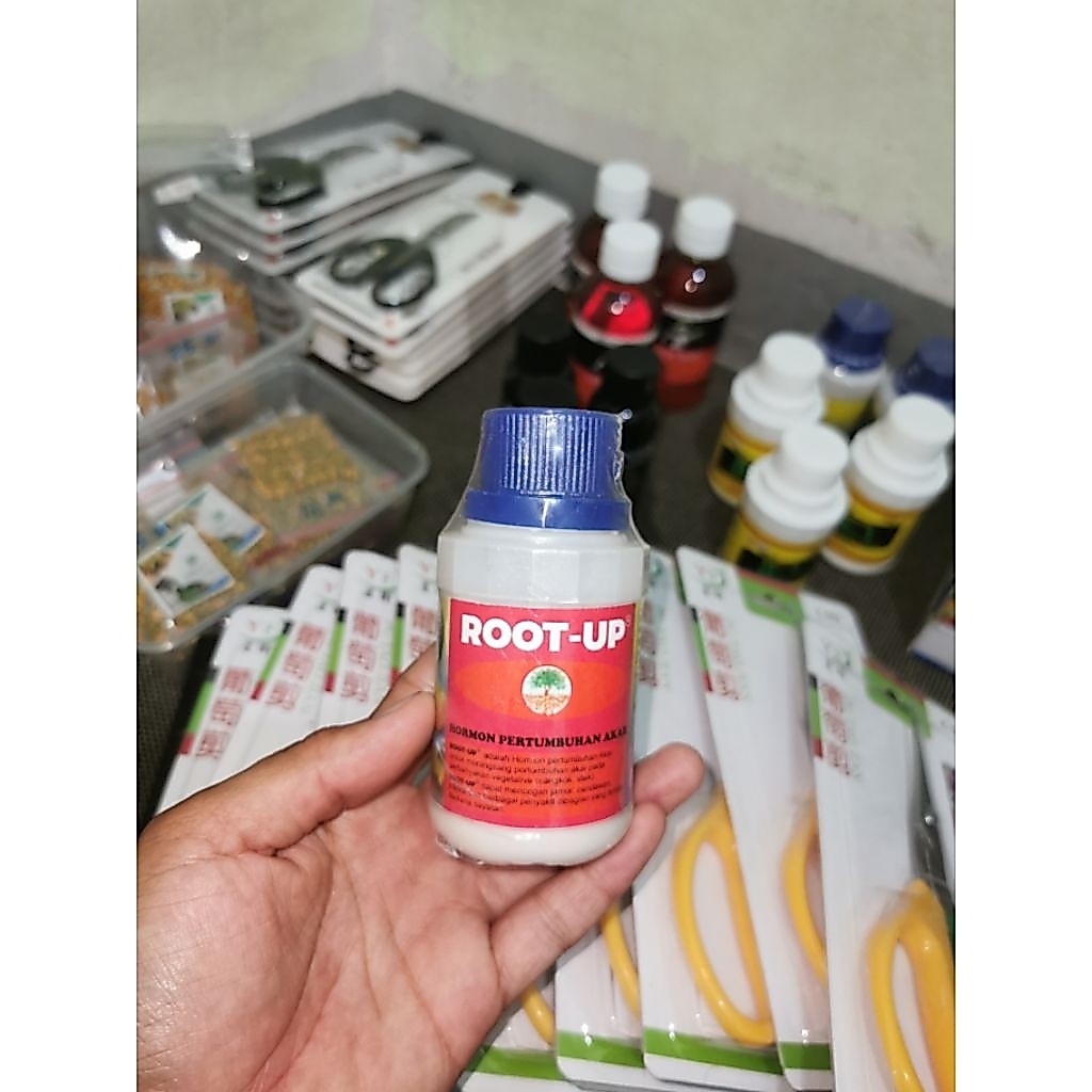 Root Up /Perangsang Akar pohon