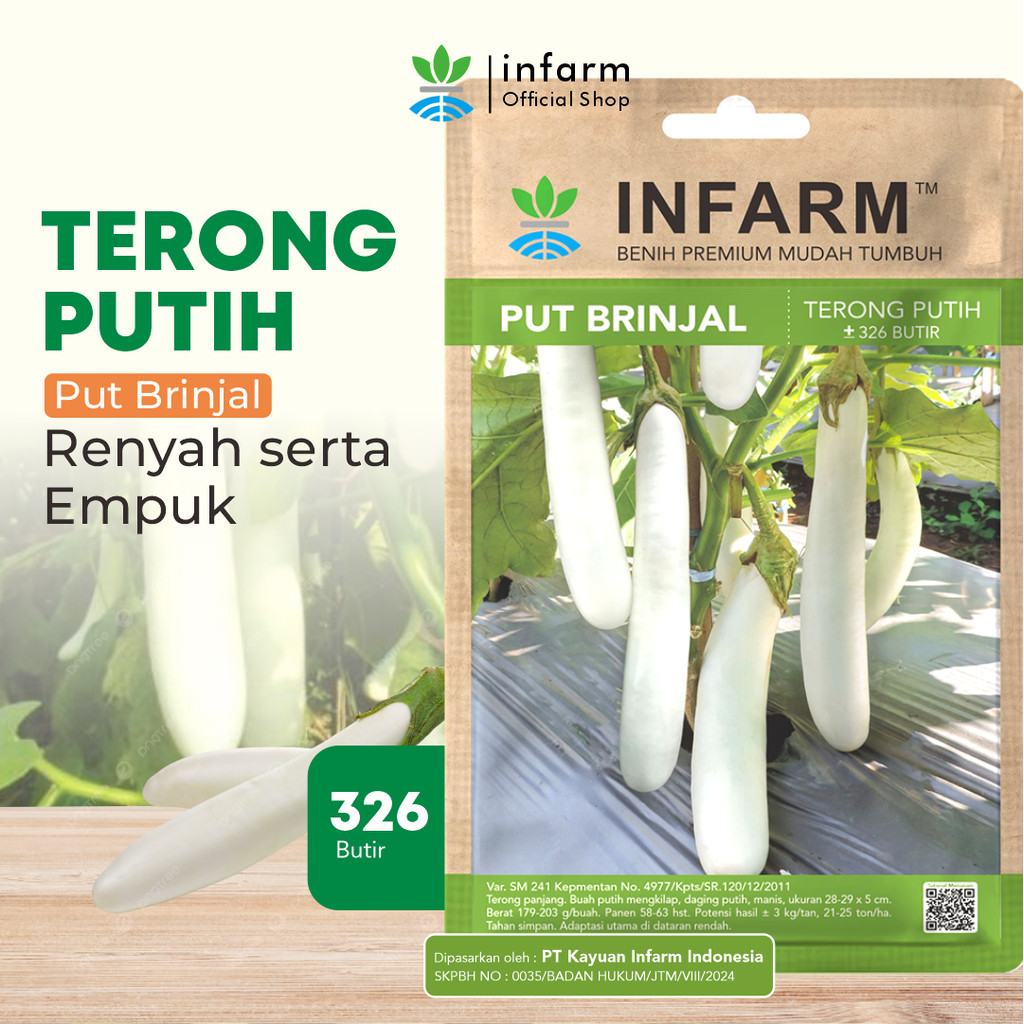 INFARM - Benih Terong Putih Unggul Bibit Terong Putih Super Bibit Sayuran Terong F1 Premium
