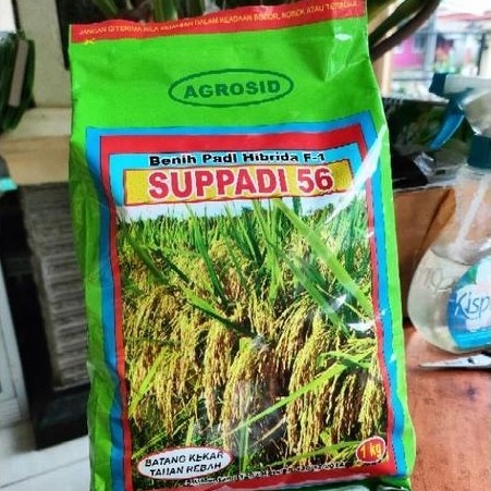 Promo Benih Padi Suppadi 56 Kemasan 1 Kg