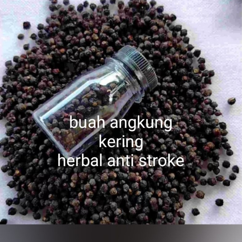 biji buah angkung kering obat alami stroke