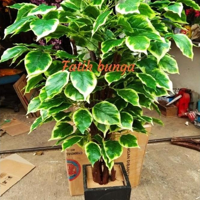 FATIH BUNGA POHON SINFU BUNGA PLASTIK TINGGI 120 CM DENGAN POT KAYU & AKSESORI RUMPUT BATU UNTUK