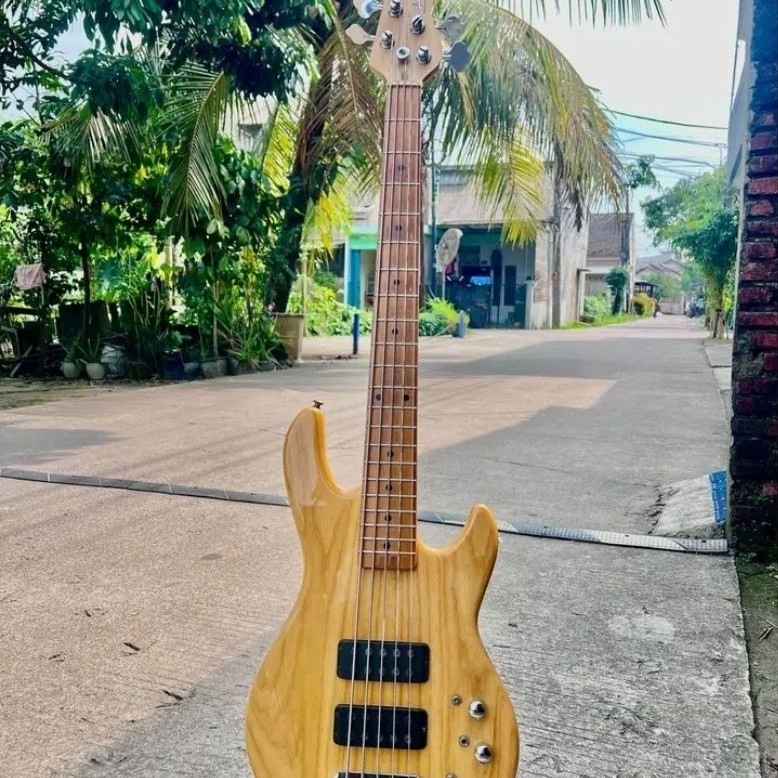 Bass GnL L2500 Like New