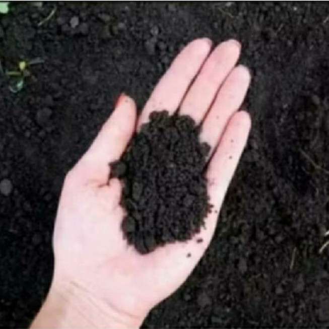 tanah hitam organik subur 2kg
