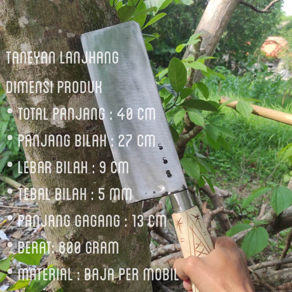 Bodeng Kotak Madura Asli / Bodeng Jumbo Super Besar / Pisau Baja Per Asli Super Tajam