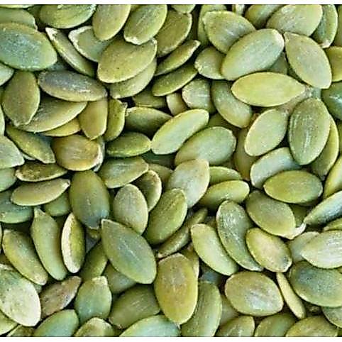 Pumpkin Seed / Biji Labu Kering