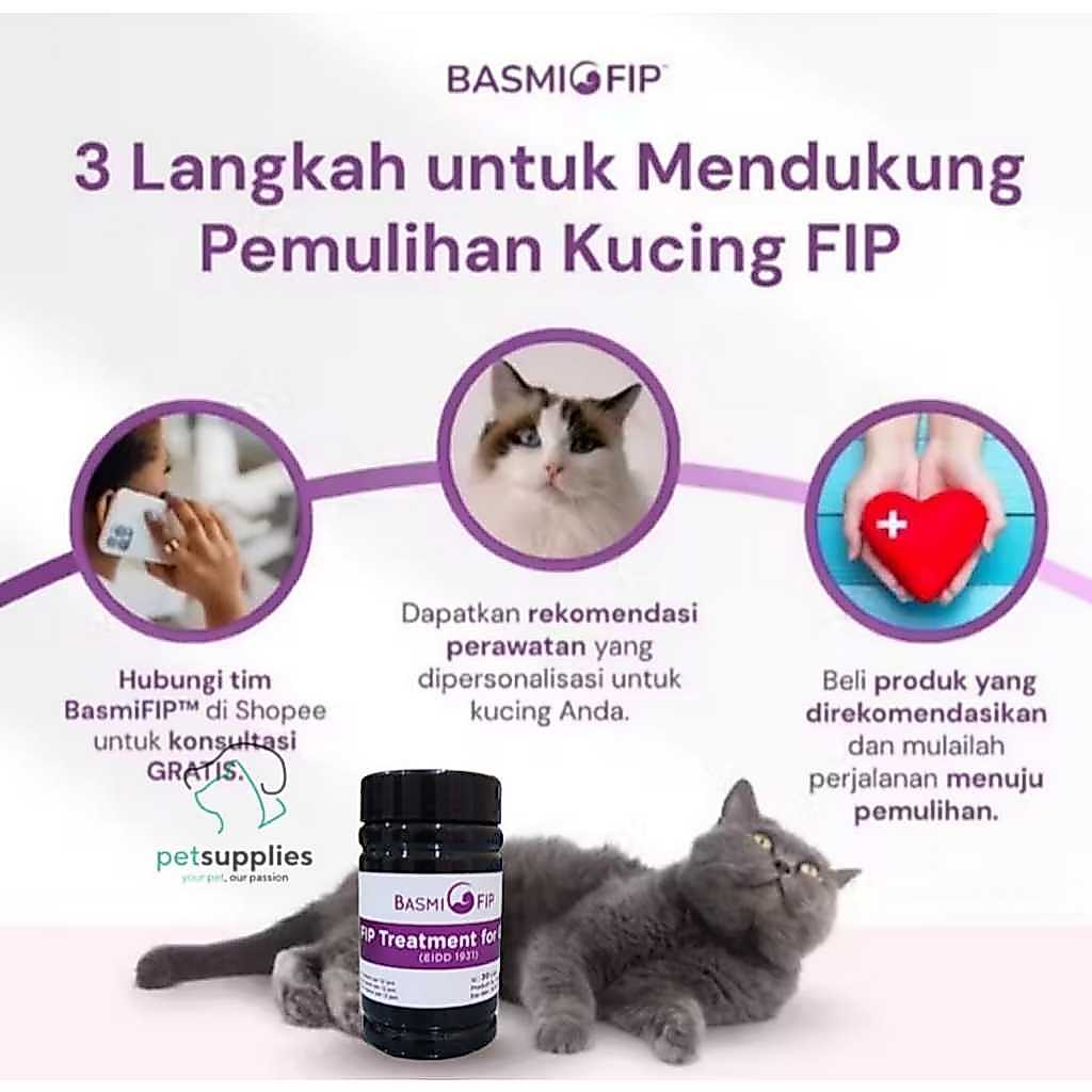 READY Obat FIP dan Calici kucing dari Basmi FIP Indonesia - Molnupiravir kucing FIP dan Calici