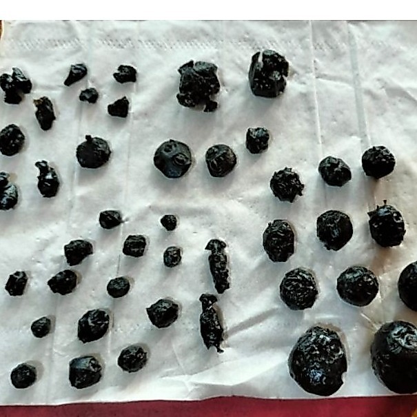 batu Satam asli