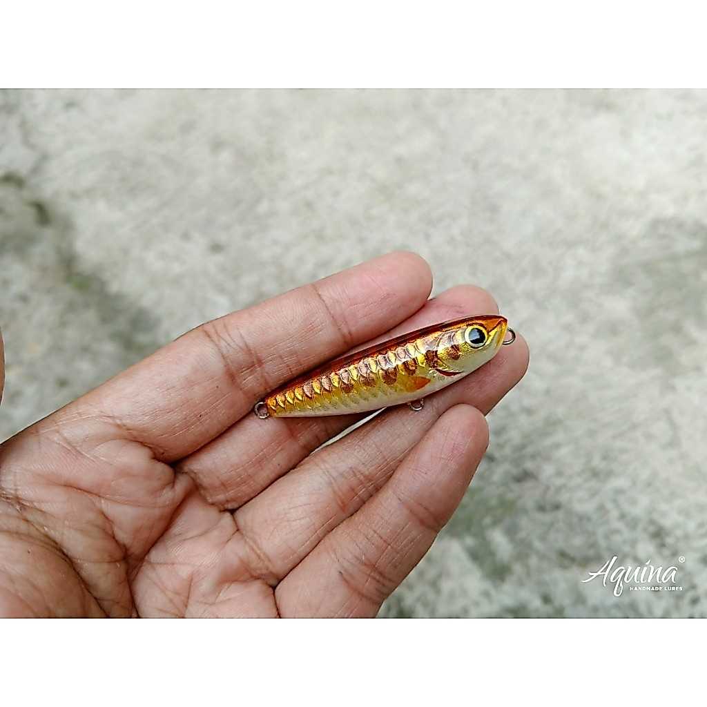 Aquina Lures Floating WTD 5cm Warna African Banded Barb