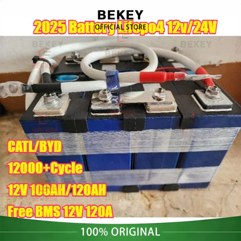 BECKY CATL/BYD Battery Lifepo4 Battery Lifepo4 12v/24V 100ah /120AH plus BMS