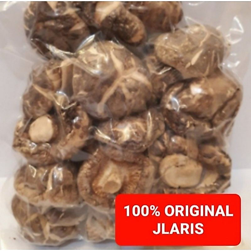Jamur Hioko / jamur shitake