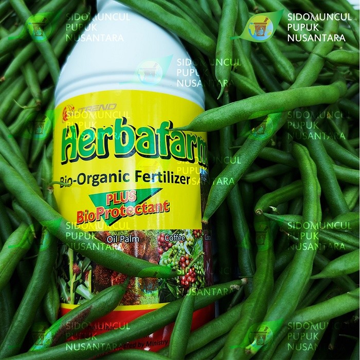 Terbaru Herbafarm Pupuk Organik 1 Liter