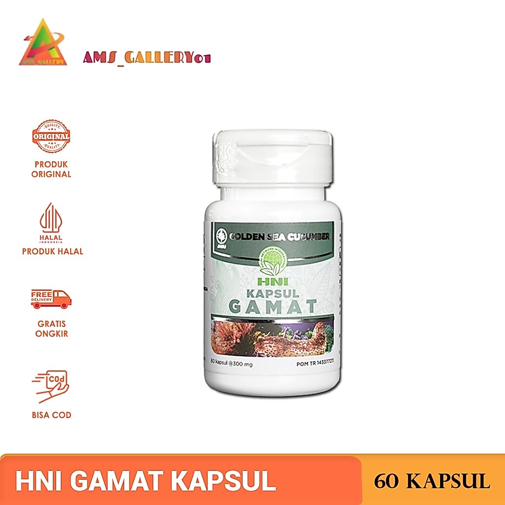 Gamat HNI HPAI Kapsul Isi 60 | Obat Herbal Lambung & Sendi | Original BPOM