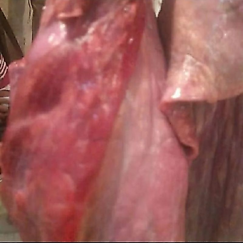 PARU Daging Sapi Fresh 1 Kg