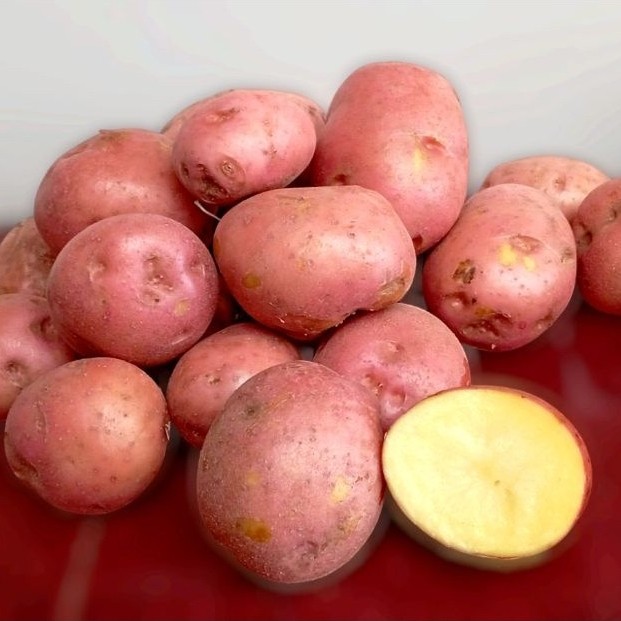 FRESH FARMER - Kentang Dieng Berkualitas 500 Gram Kentang Merah Kaya Manfaat & Nutrisi Antioksidan B