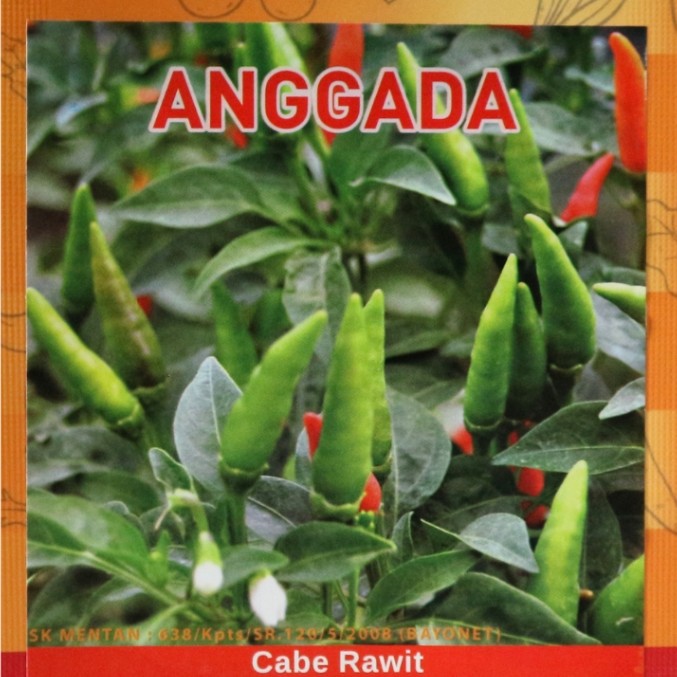 Cabe Rawit Anggada Benih Cabe Rawit Hijau Tegak 10gr