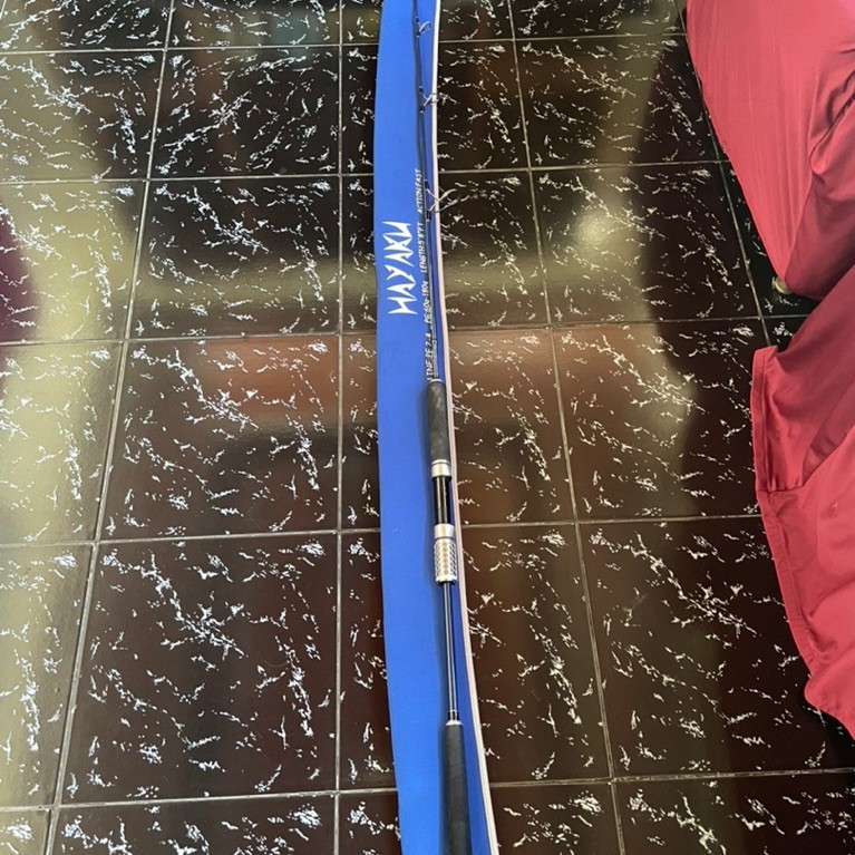 Rod Hayaku PE 2-4