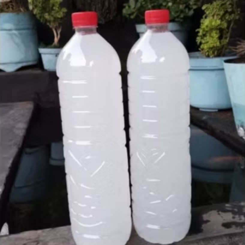 Paket Hemat Air Legen Siwalan Manis Dan Legitnya Bikin Nagih (Pelepas Dahaga Alami Sumber ION alami)