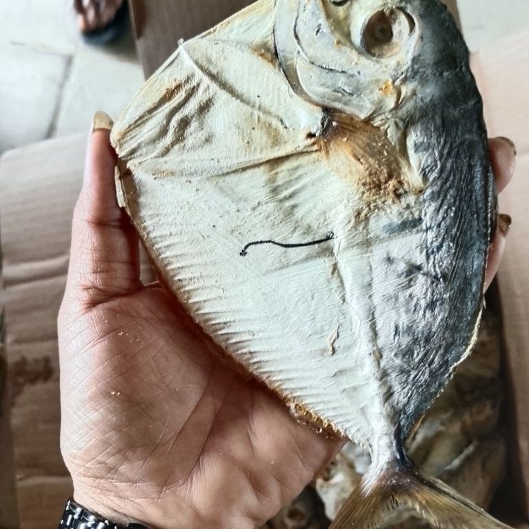 Ikan asin bagong/semar fresh jumbo