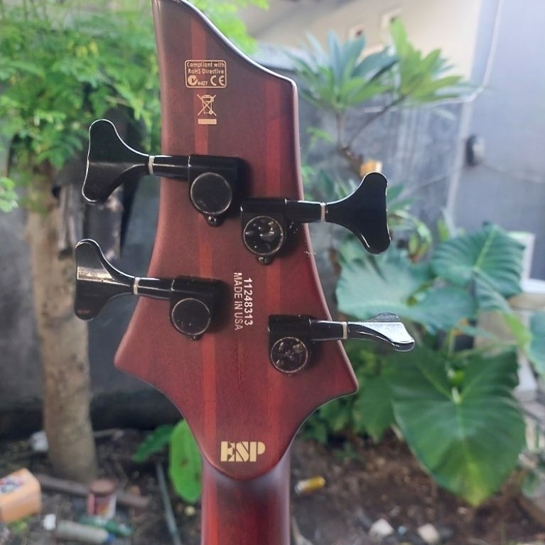 bass elektrik LTD by ESP