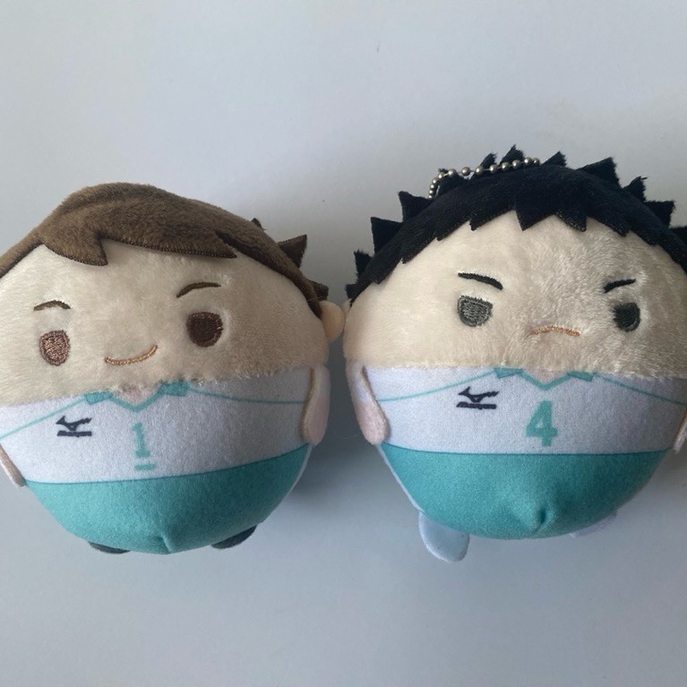 Fuwakororin Haikyu 4 - Iwaizumi & Oikawa