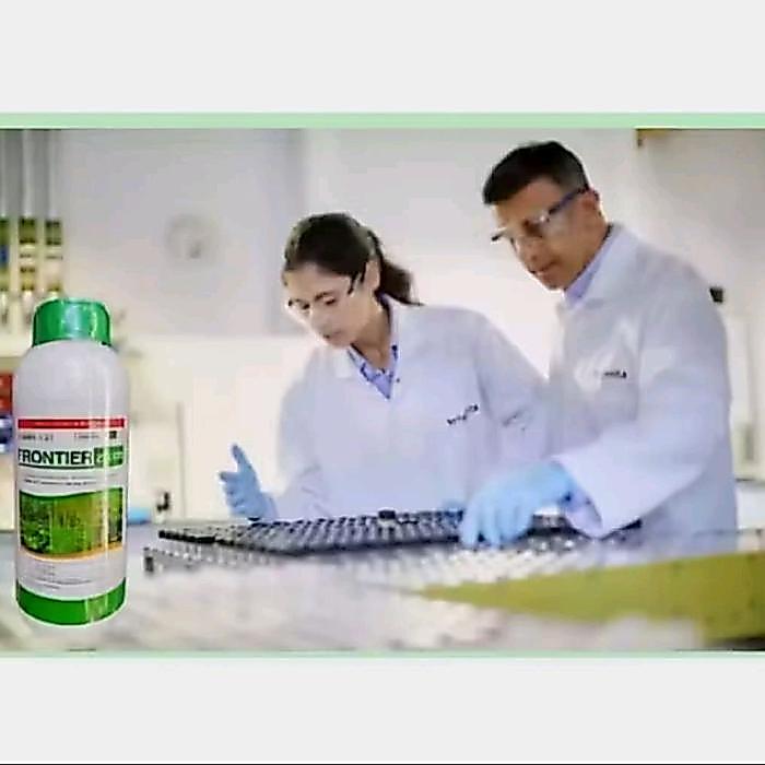 (Paket 3 Botol) Frontier Bisa COD Frontier 200 OD Herbisida Pembasmi Gulma Super Ampuh Isi 250 ml