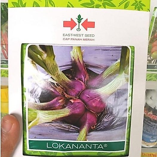Benih Bawang Merah Lokananta 10 gram - Bibit Unggul Cap Panah Merah