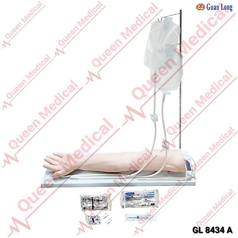 Manekin Lengan Infus/Manekin Phantom Alat Peraga GL 8434A Guan Long