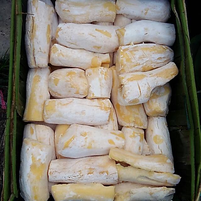 Peuyeum sampeu / tape singkong