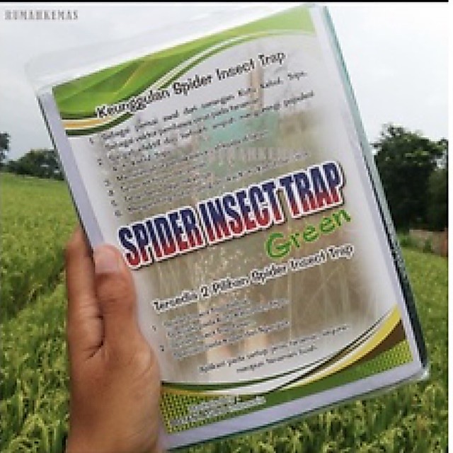 Spider insect trap green isi 20 lembar trap serangga hijau