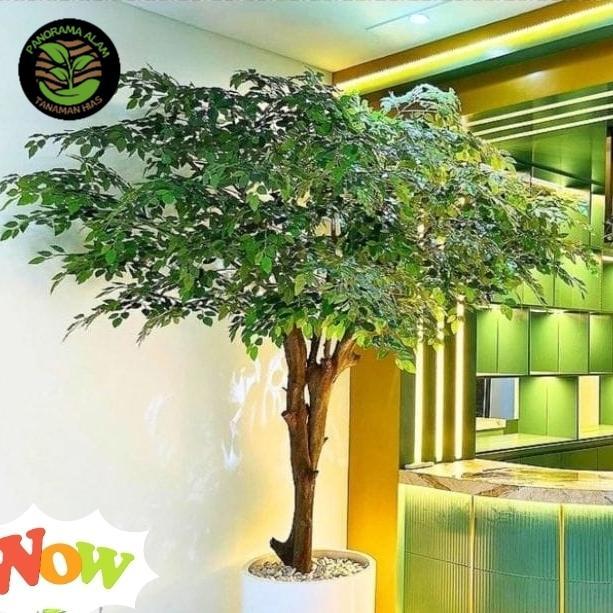 POHON BERINGIN ARTIFICIAL JUMBO - BONSAI BERINGIN POHON DEKORASI BUNGA - STANDAR