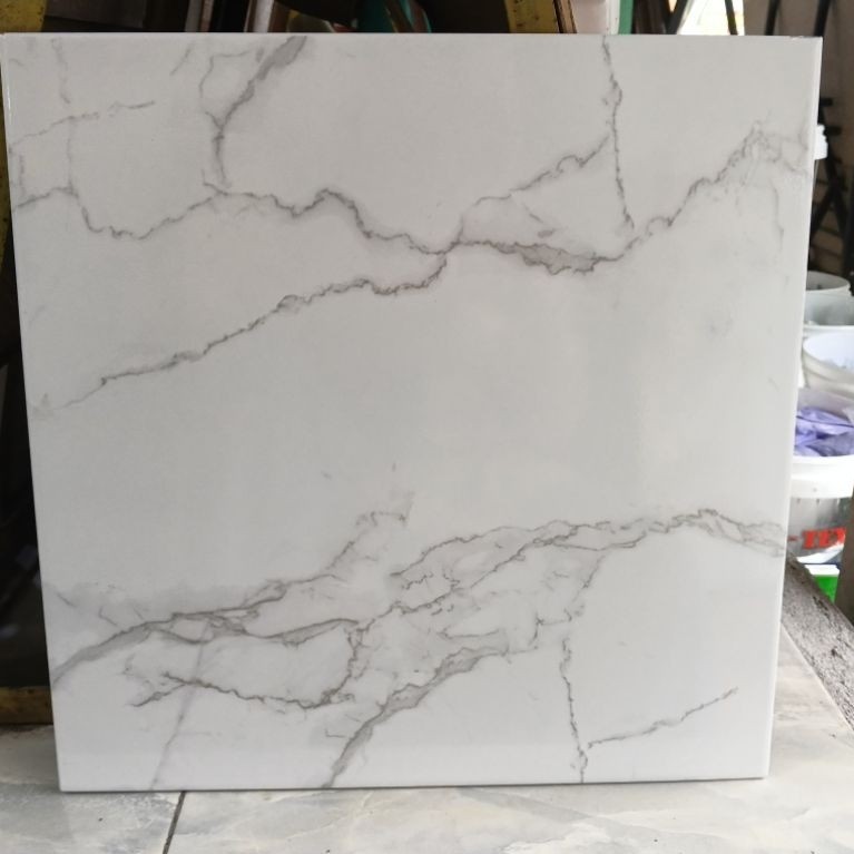 Keramik Lantai Glossy Motif Sx Bianco 40x40