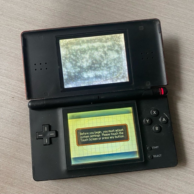 Nintendo DS Lite