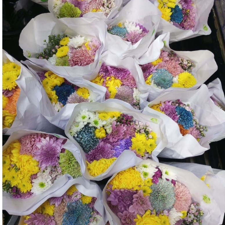 bunga potong mix  aster Krisan .