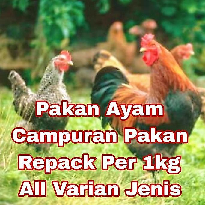 Hijabar_frea - Per 1 Kg Pakan Ayam Campuran Repack All Varian Jenis A594K. A591K. 511 Brav.o 512 Bra