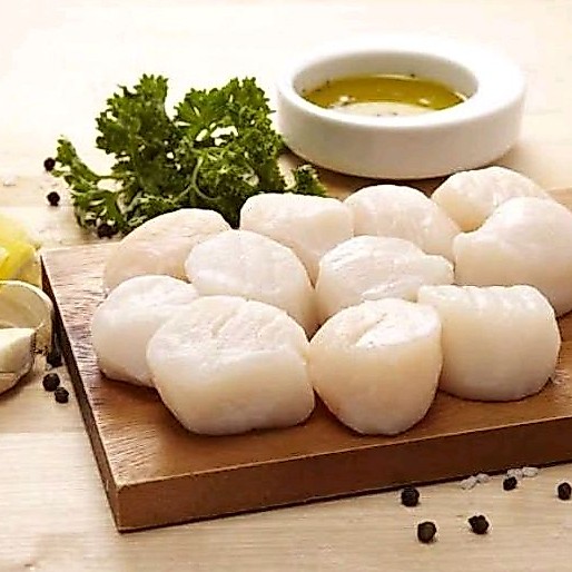 Daging Kerang Kapak Kerang Kampak Scallop Fresh Frozen Hasil Laut Segar Seafood