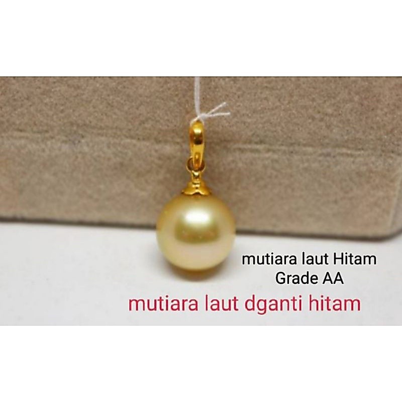 Liontin mutiara Laut Hitam Grade AA lengkap Sertifikat