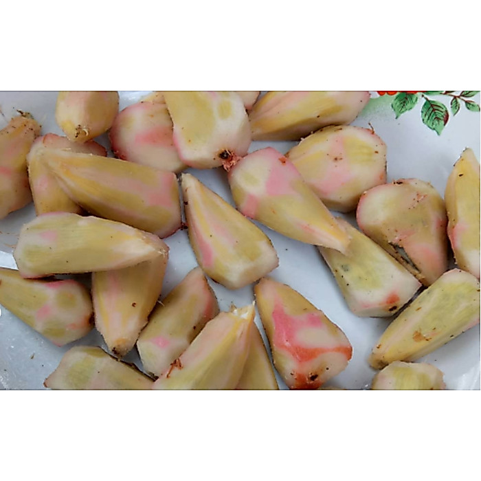 Asam cikala/asam patikala