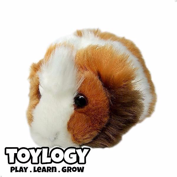 Boneka Hewan Marmut Abissinian - Abyssinian Guinea Pig Stuffed Plush Animal - 5.5 inch