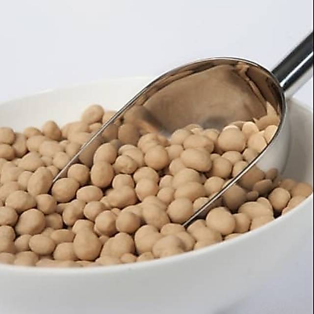 Kacang Atom Satelit Palapa