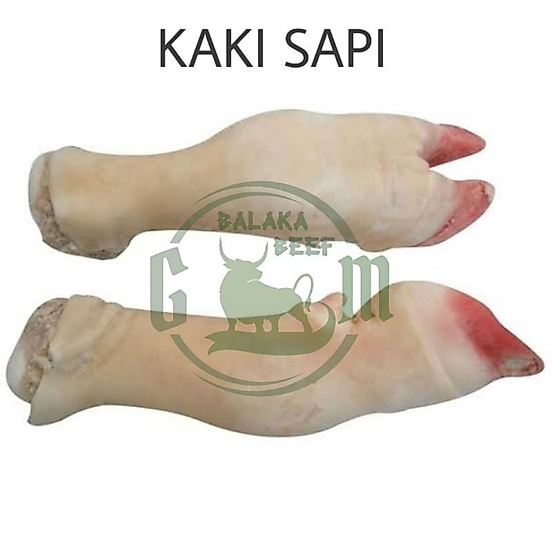 Kaki Sapi lokal segar