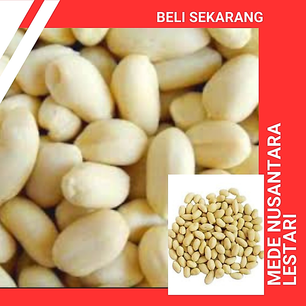 KACANG TANAH KUPAS 500GRAM / KACANG TANAH KUPAS MENTAH JUMBO
