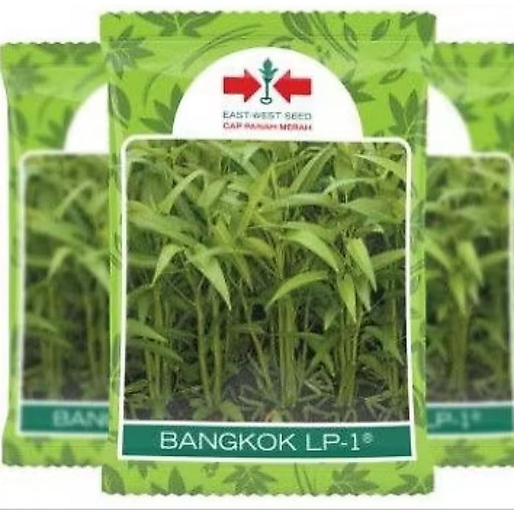 ( 1 Kg ) Benih KANGKUNG BANGKOK LP1 1 kg Panah Merah Kangkung Panah Merah