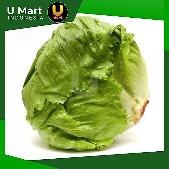 U Mart - Head Lettuce 500 gram Selada Kebab