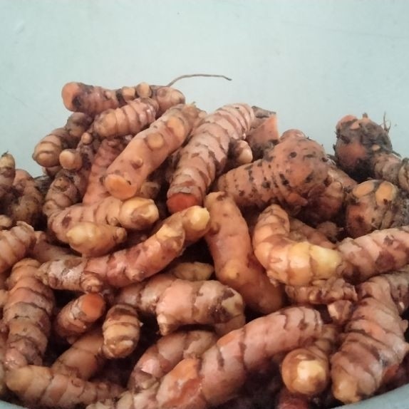 Kunyit 1kg