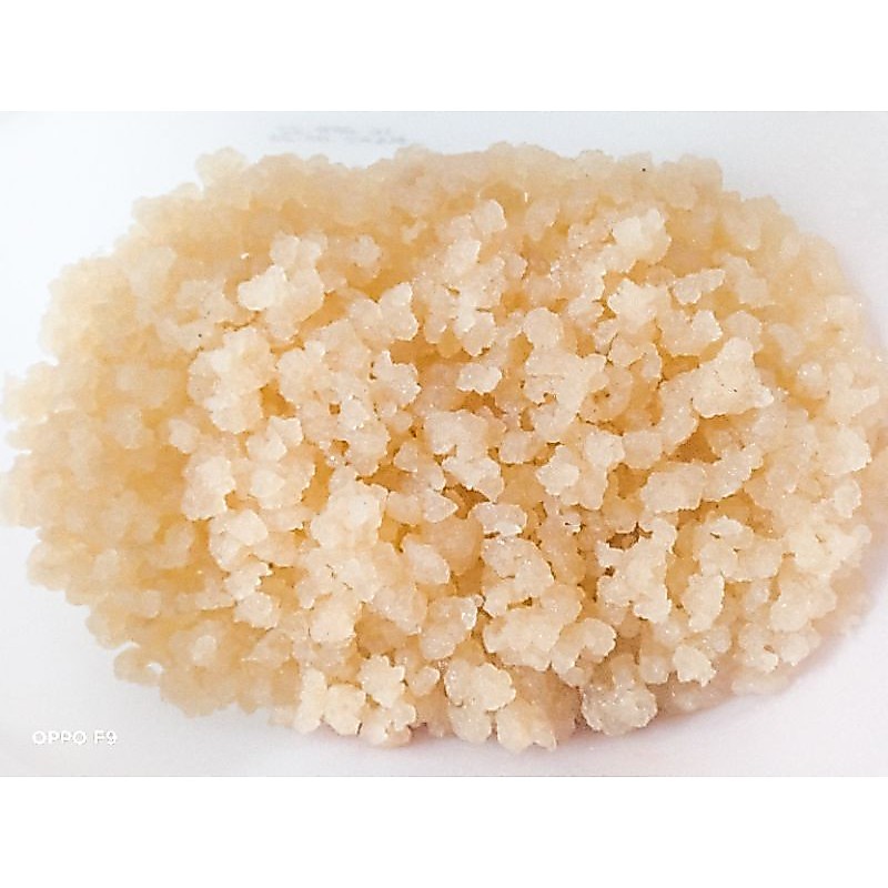 Bibit water kefir/kristal alga jepang