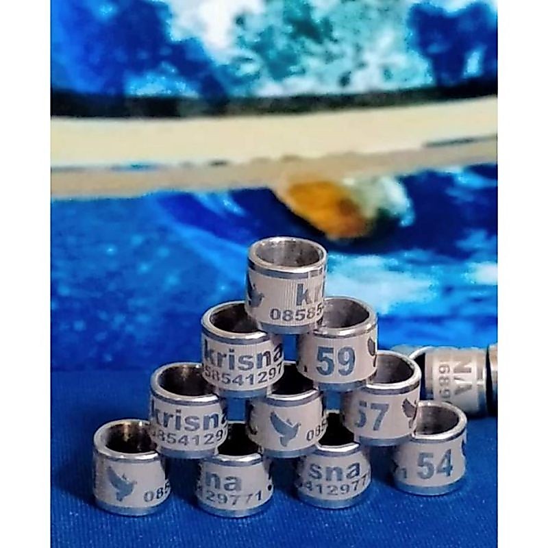 RING MERPATI BAJA GRAVIR