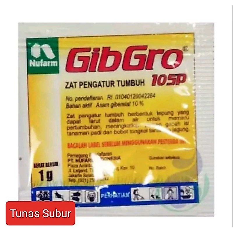 Zpt Gibgro 10 sp