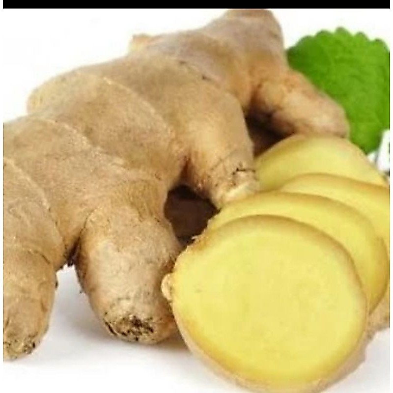 Jahe putih segar / jahe gajah